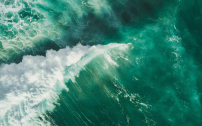 Trusting Life When the Waves Get Wild